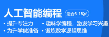 蚌埠少儿编程人工智能编程课程